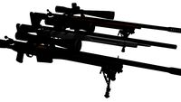 Mk.17 Sniper Rifle / Civilian Sports Rifle