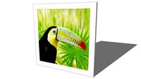 Toile toucan 90 x 90 cm PACO, Maisons du monde, ref : 155109, prix : 79,99