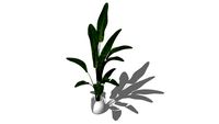 Plant3