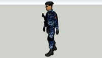 policia federal preventiva gendarmeria nacional