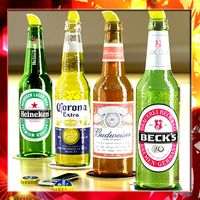 Beer Bottles Collection. Becks, Budweiser, Corona and Heineken Bottles.3d model