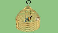 Parrot in Cage