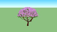 Lilac tree
