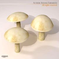 Mushrooms3d model