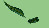 3D tree leaf