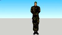 SOLDADO EB