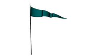 Festival Flag