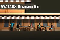 Avatars with Humanoid Rigs