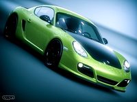 PORSCHE CAYMAN R 20123d model