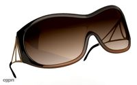 Sunglasses (01)3d model