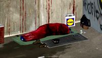 Homeless