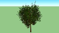 Árbol con flores