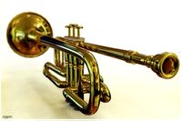 Trumpet3d model