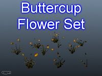 Buttercup Set 0013d model