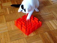 Katzenspielbrett / Cat play board by Scubaseb