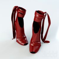 Сапоги