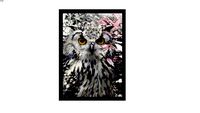 Quadro Nanus Store - Owl