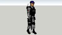 soldado militar sedena ejercito mexicano