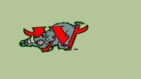 Winston-Salem Warthogs logo
