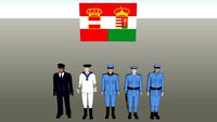 Austro-Hungarian navy WW1