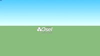 LOGO OSEL ASI SE PINTA