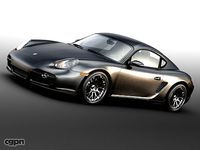 PORSCHE CAYMAN S3d model