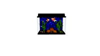 Standard 10 gallon freshwater aquarium