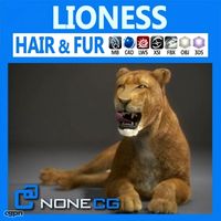 Lioness3d model