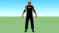 The Rock(Dwayne Johnson)