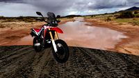 HONDA CRF 250 RALLY by Pooh