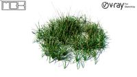 Grass, hight poly, vray ready (034)