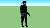 soldado de la sedena de mexico