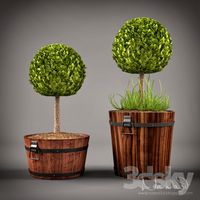 Wooden Pot Planter