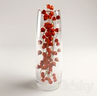 physalis