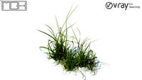 Grass, hight poly + maps, vray ready (017)