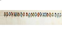 38569 Picture Touched Birds Meeting 30x150cm (Bild Touched Birds Meeting 30x150cm)