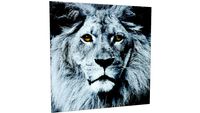 35849 Picture Glass Faxce Lion 80x80cm (Bild Glas Face Lion 80x80cm)