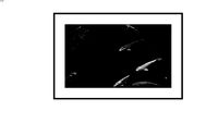 Fotografia Obra 1380022d
