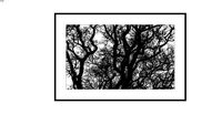 Fotografia Obra 1380019d