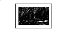 Fotografia Obra 1380017d