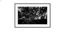 Fotografia Obra 1380016d