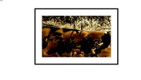 Fotografia Obra 1380004a