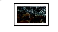 Fotografia Obra 1380003a