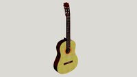 Classic Acoustic Guitar