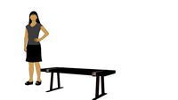 Aries Bench