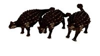 Ankylosaurus 3