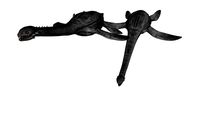 Plesiosaurus 2