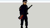 policia municipal de guadalajara jalisco