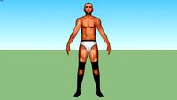 Tye Dillinger/Gavin Spears(Ronald William Arneill)