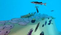 coral reef slope